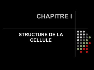 Tableau Mural Structure Fine Zelle Zellbiologie 100x144 ~1965 Vintage Cell