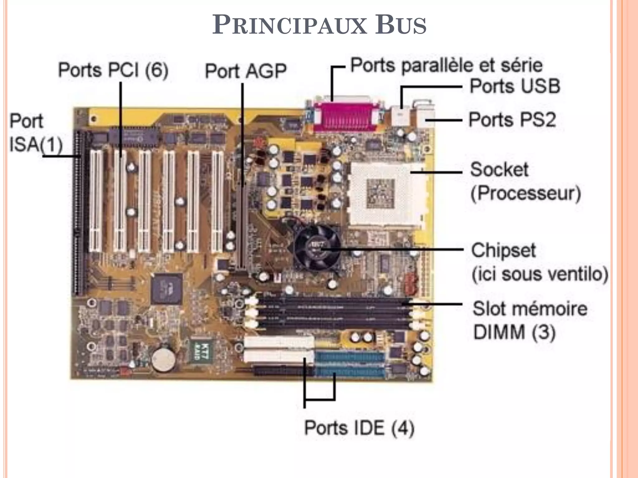 59
PRINCIPAUX BUS
 