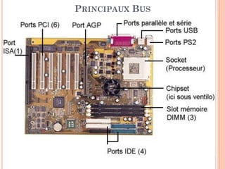 59
PRINCIPAUX BUS
 