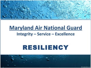 Maryland Air National Guard
  Integrity – Service – Excellence


     RESILIENCY
 