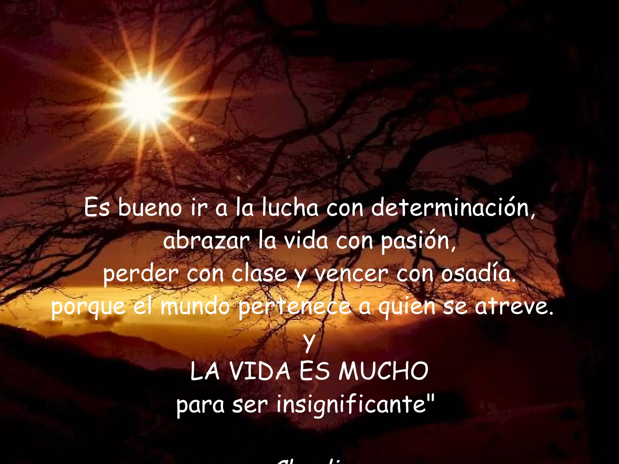 Es bueno ir a la lucha con determinación, abrazar la vida con pasión, perder con clase y vencer con osadía. porque el mundo pertenece a quien se atreve. y LA VIDA ES MUCHO para ser insignificante" Chaplin