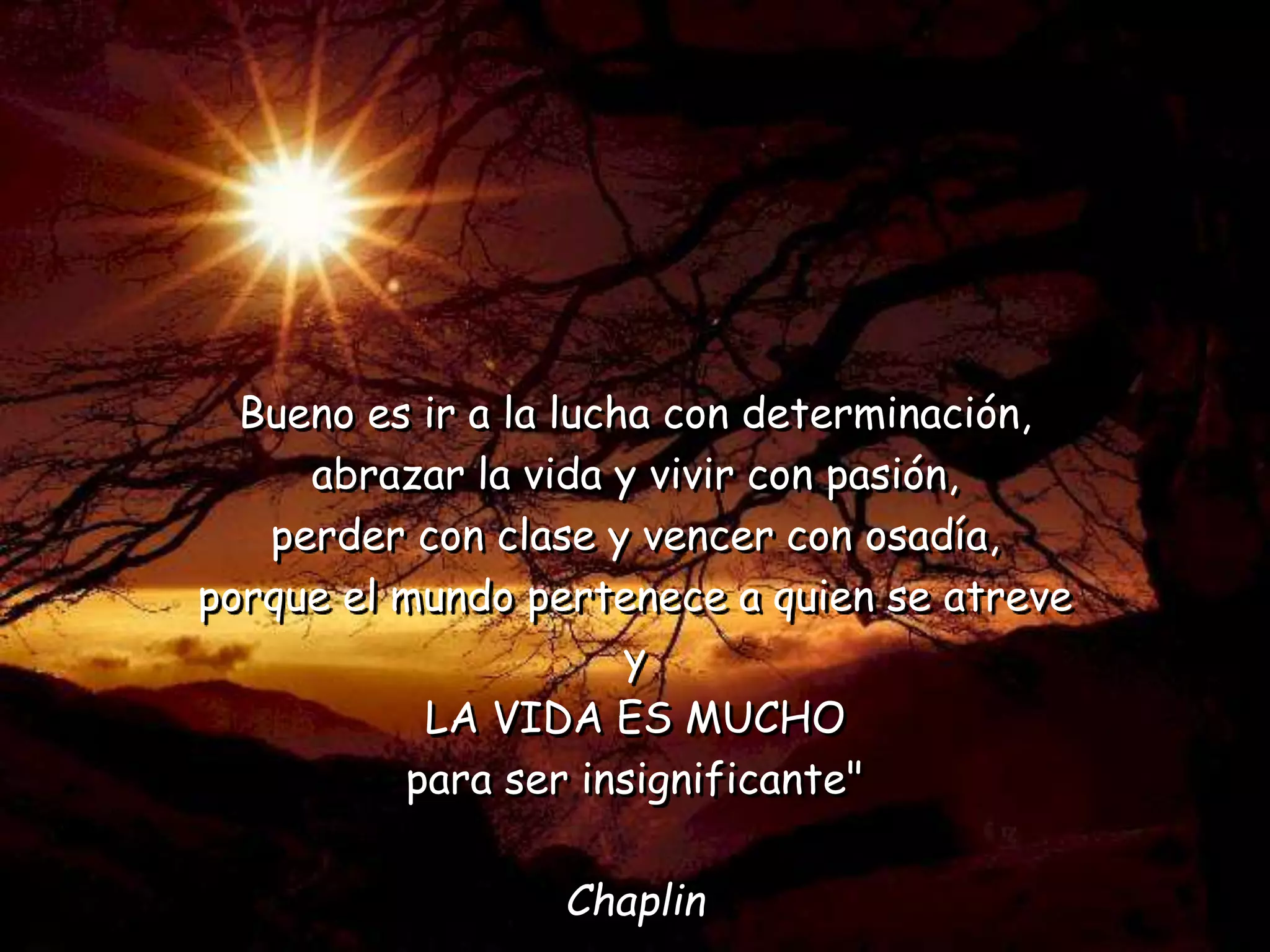 Bueno es ir a la lucha con determinación,
abrazar la vida y vivir con pasión,
perder con clase y vencer con osadía,
porque el mundo pertenece a quien se atreve
y
LA VIDA ES MUCHO
para ser insignificante"
Chaplin