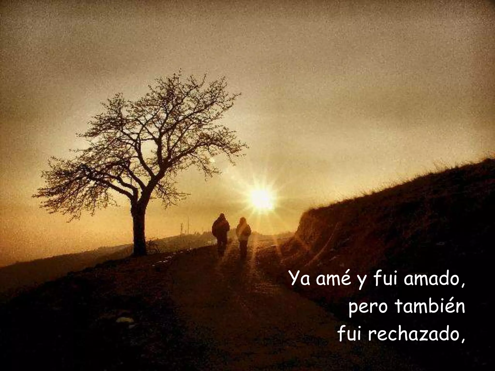 Ya amé y fui amado,
pero también
fui rechazado,