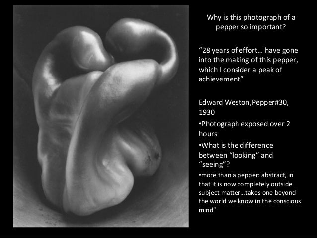 Edward Weston Pepper No 30 Analysis