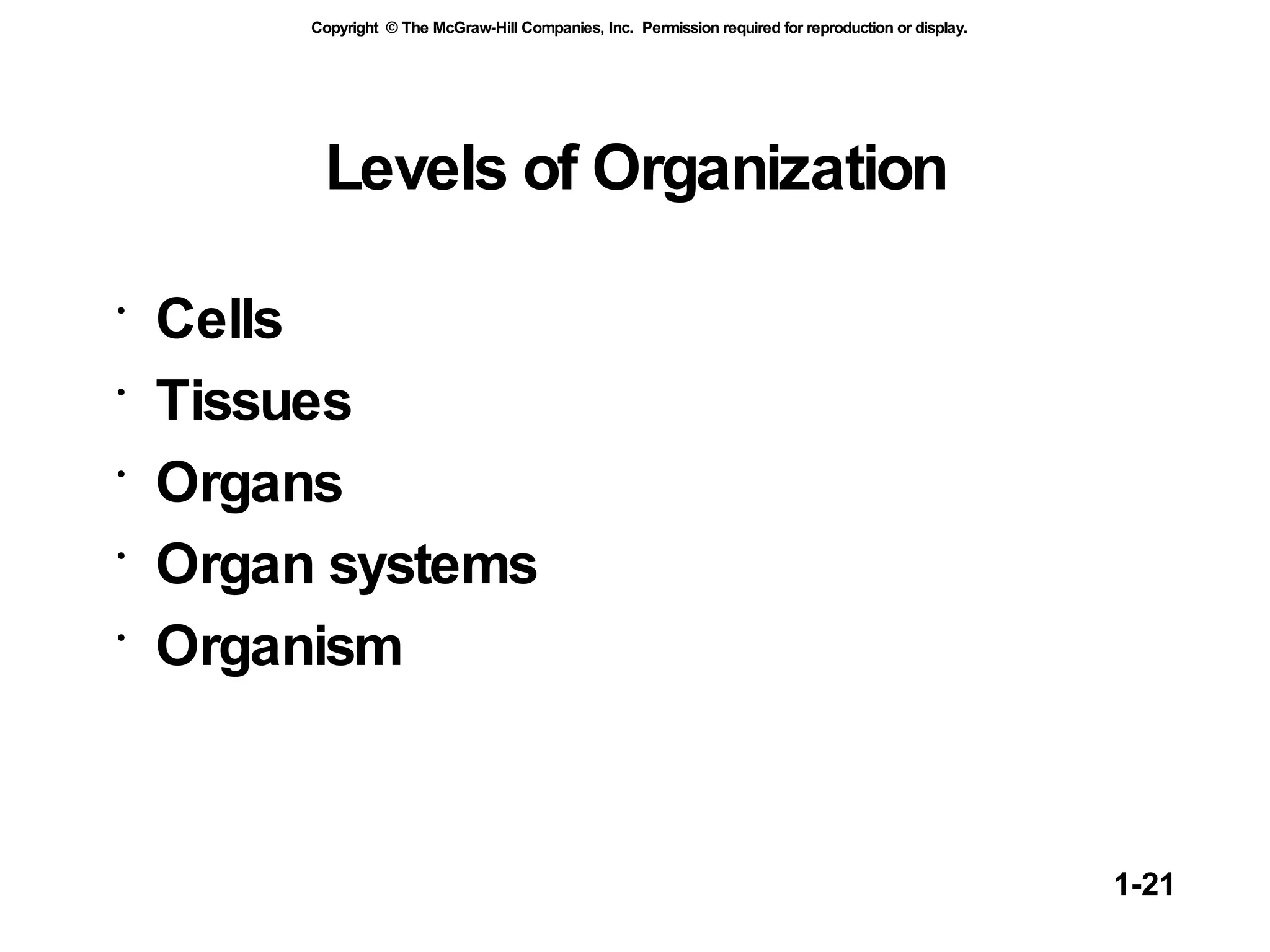Levels of Organization Cells Tissues Organs Organ systems Organism 