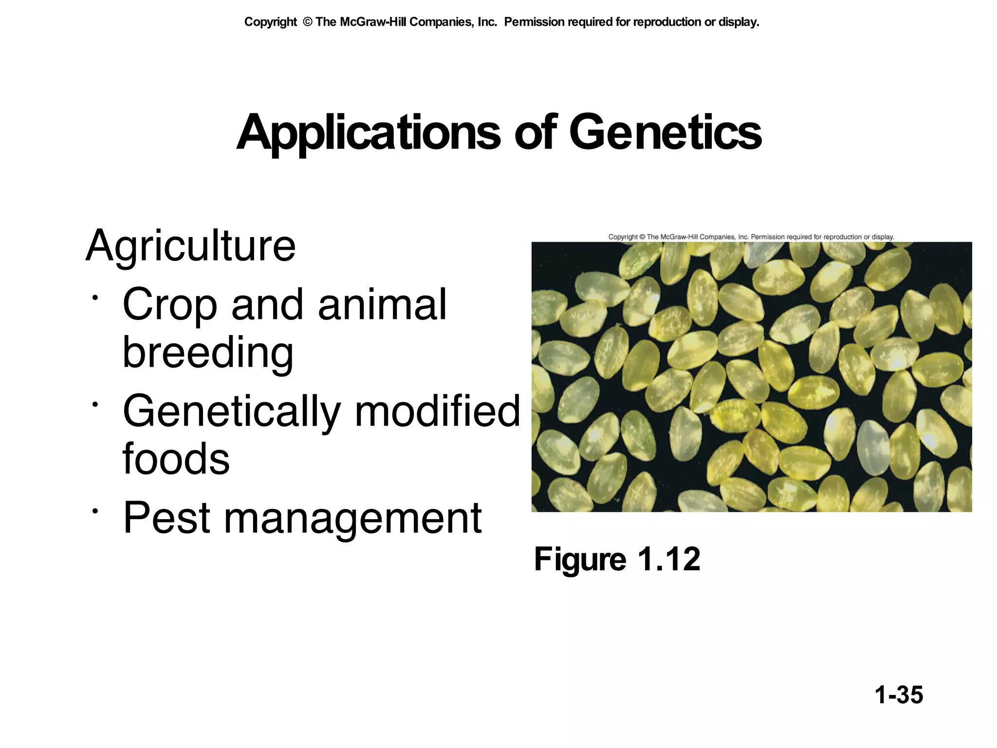 Applications of Genetics Agriculture   Crop and animal breeding Genetically modified foods Pest management Figure 1.12 