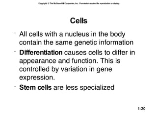 Cells All cells with a nucleus in the body contain the same genetic information Differentiation  causes cells to differ in appearance and function. This is controlled by variation in gene expression. Stem cells  are less specialized 