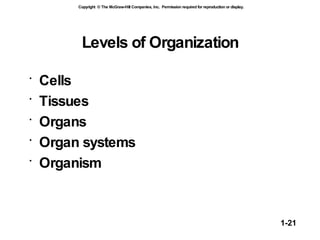 Levels of Organization Cells Tissues Organs Organ systems Organism 