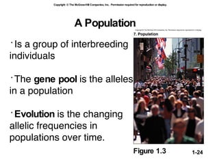 A Population Is a group of interbreeding individuals  The  gene pool  is the alleles in a population Evolution  is the changing allelic frequencies in populations over time.   Figure 1.3 