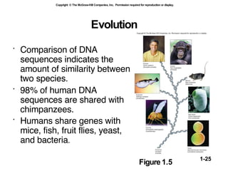 Evolution Comparison of DNA sequences indicates the amount of similarity between two species. 98% of human DNA sequences are shared with chimpanzees. Humans share genes with mice, fish, fruit flies, yeast, and bacteria . Figure   1.5  