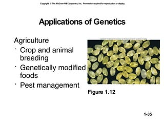 Applications of Genetics Agriculture   Crop and animal breeding Genetically modified foods Pest management Figure 1.12 
