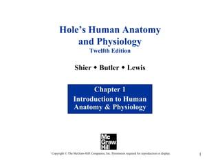 1
Hole’s Human Anatomy
and Physiology
Twelfth Edition
Shier w Butler w Lewis
Chapter 1
Introduction to Human
Anatomy & Physiology
Copyright © The McGraw-Hill Companies, Inc. Permission required for reproduction or display.
 