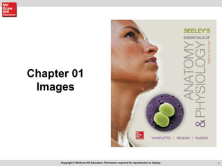 1
Business Unit Tag line (optional) 1
Chapter 01
Images
Copyright © McGraw-Hill Education. Permission required for reproduction or display.
 