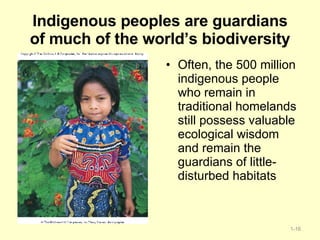 Indigenous peoples are guardians of much of the world’s biodiversity Often, the 500 million indigenous people who remain in traditional homelands still possess valuable ecological wisdom and remain the guardians of little- disturbed habitats 1- 