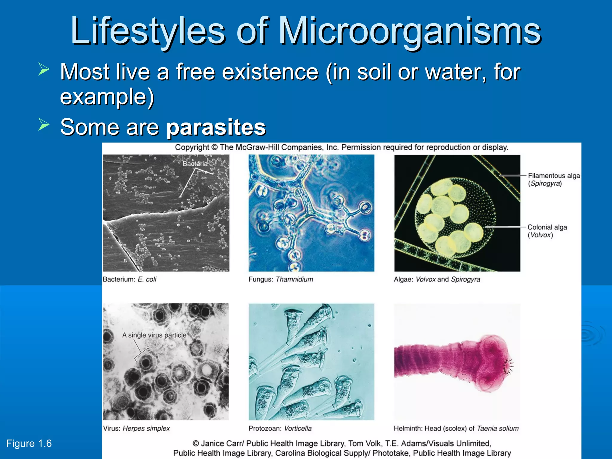 Lifestyles of Microorganisms
Most live a free existence (in soil or water, for
example)
 Some are parasites


Figure 1.6

 