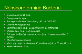 Nonsporeforming Bacteria Brucella abortis ,  B. suis Campylobacter  spp. Pathogenic  Escherichia coli  (e.g.,  E. coli O157:H7) Listeria monocytogenes Salmonella  spp. (e.g.,  S. typhimurium ,  S. enteriditis ) Shigella  spp. (e.g.,  S. dysinteriae ) Pathogenic  Staphylococcus aureus ( e.g., coagulase positive  S. aureus) Streptococcus pyogenes Vibrio  spp. (e.g.,  V. cholerae ,  V. parahaemolyticus , V . vulnificus ,) Yersinia enterocolitica  