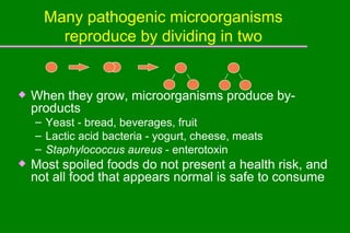 Many pathogenic microorganisms reproduce by dividing in two When they grow, microorganisms produce by-products Yeast - bread, beverages, fruit Lactic acid bacteria - yogurt, cheese, meats Staphylococcus aureus  - enterotoxin Most spoiled foods do not present a health risk, and not all food that appears normal is safe to consume 