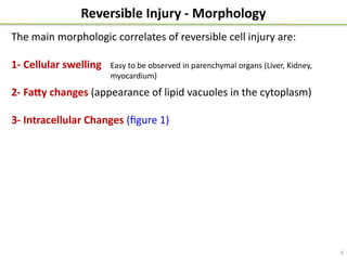 Comprehensive Overview of Reversible Cell Injury in Pathophysiology | PPTX