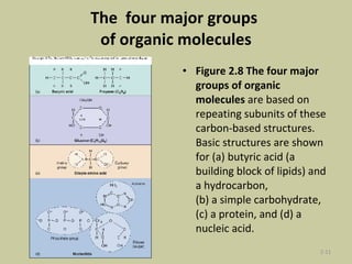 The  four major groups  of organic molecules Figure 2.8 The four major groups of organic molecules  are based on repeating subunits of these carbon-based structures. Basic structures are shown for (a) butyric acid (a building block of lipids) and a hydrocarbon, (b) a simple carbohydrate, (c) a protein, and (d) a nucleic acid. 2- 
