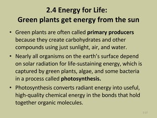 2.4 Energy for Life:  Green plants get energy from the sun Green plants are often called  primary producers  because they create carbohydrates and other compounds using just sunlight, air, and water. Nearly all organisms on the earth’s surface depend on solar radiation for life-sustaining energy, which is captured by green plants, algae, and some bacteria in a process called  photosynthesis. Photosynthesis converts radiant energy into useful, high-quality chemical energy in the bonds that hold together organic molecules. 2- 