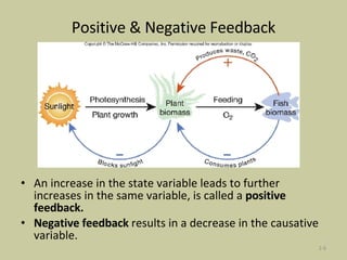 Positive & Negative Feedback An increase in the state variable leads to further increases in the same variable, is called a  positive feedback. Negative feedback  results in a decrease in the causative variable. 2- 