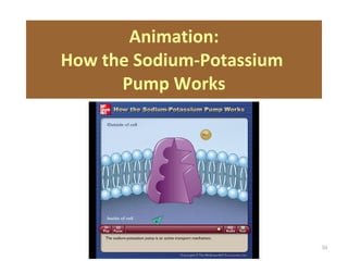 Chapt03 Holes Lecture Animation[1] | PPT