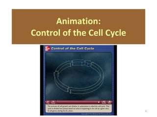 Chapt03 Holes Lecture Animation[1] | PPT
