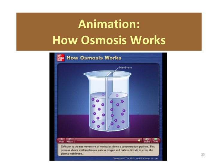 chapt03 holes lecture animation 1 animation how osmosis works