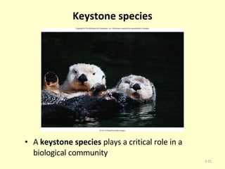 Keystone species A  keystone species  plays a critical role in a biological community  3- 