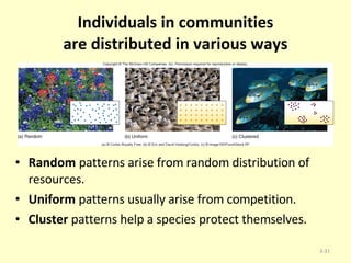 Individuals in communities are distributed in various ways Random  patterns arise from random distribution of resources. Uniform  patterns usually arise from competition. Cluster  patterns help a species protect themselves. 3- 