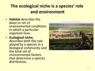The ecological niche is a species’ role  and environment Habitat  describes the place or set of environmental conditions in which a particular organism lives.  Ecological niche,  describes both the role played by a species in a biological community and the total set of environmental factors that determine a species distribution. 3- 