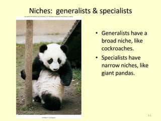 Niches:  generalists & specialists Generalists have a broad niche, like cockroaches. Specialists have narrow niches, like giant pandas. 3- 