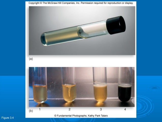 Substances That Solidify At Room Temperature Substances That Solidify At Room Temperature