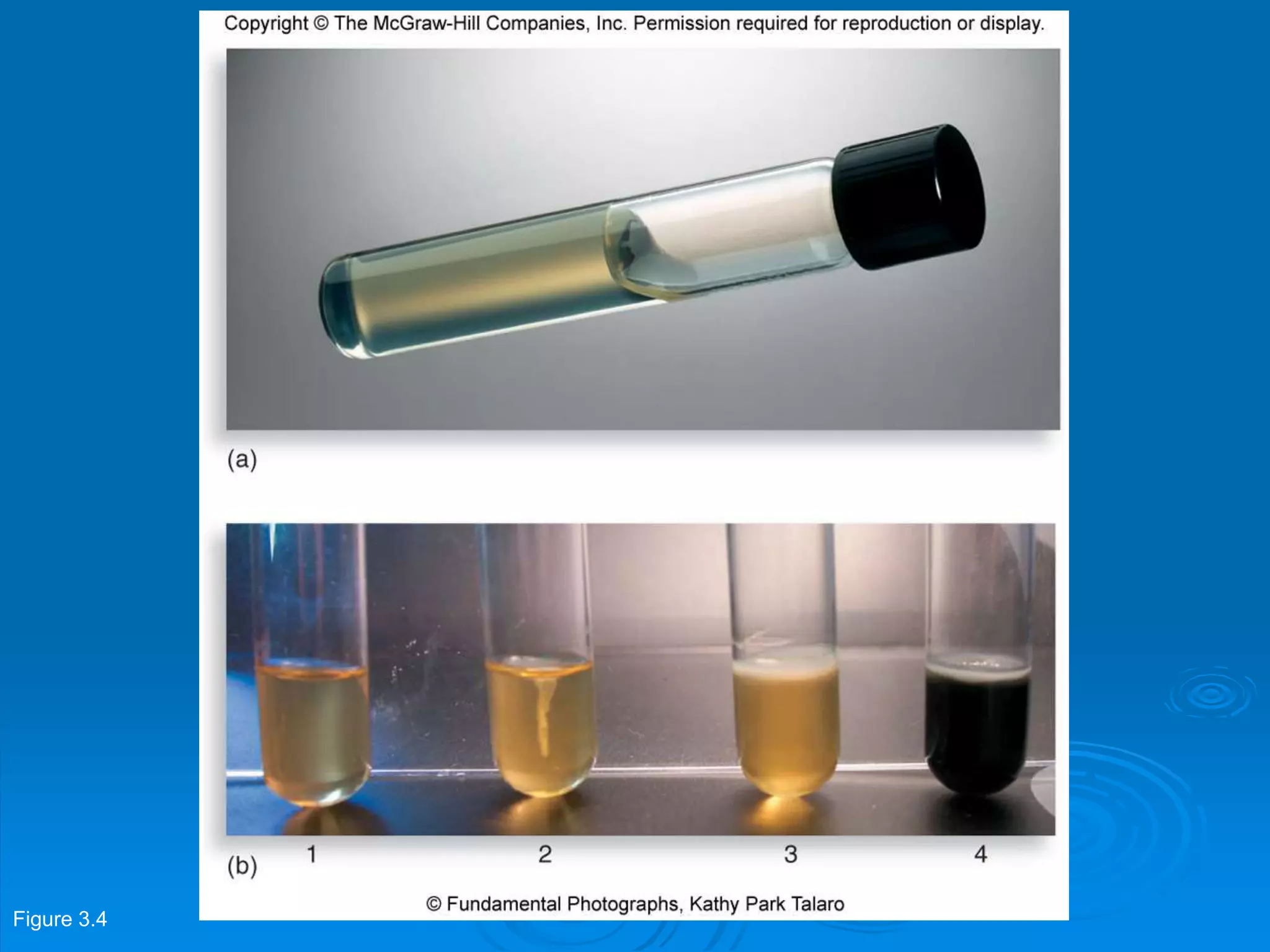Figure 3.4
 