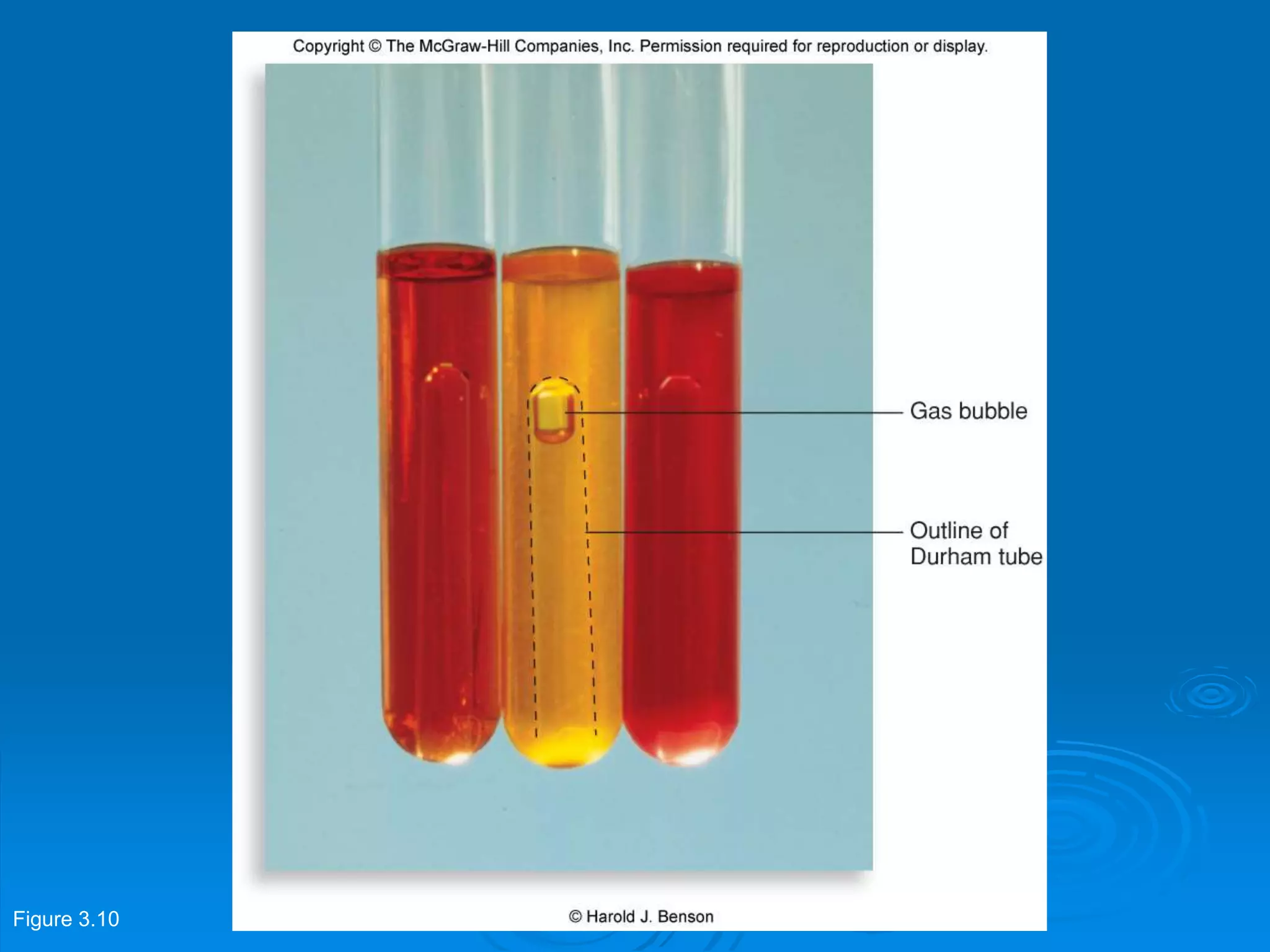 Figure 3.10
 