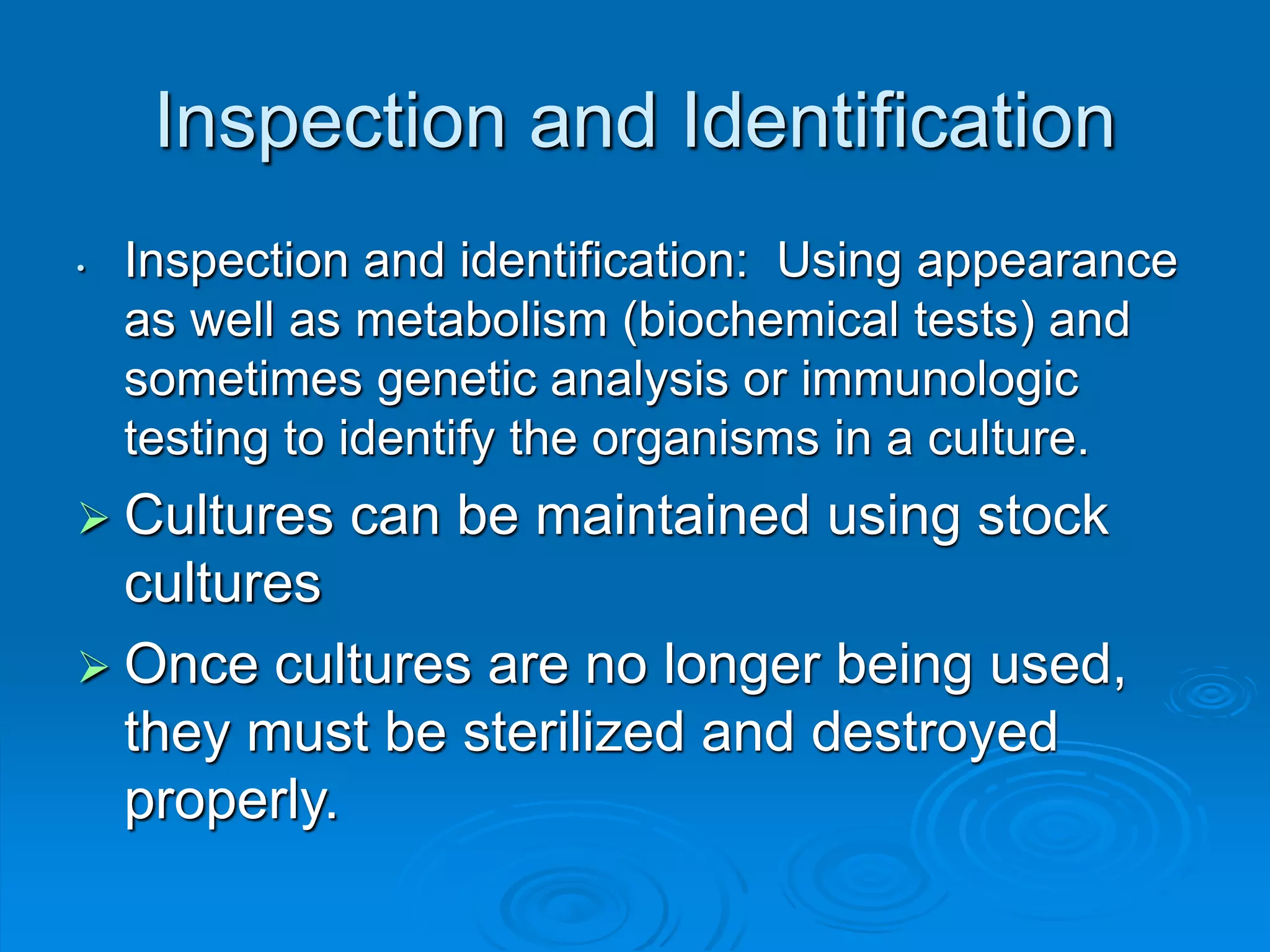 Inspection and Identification
• Inspection and identification: Using appearance
as well as metabolism (biochemical tests) and
sometimes genetic analysis or immunologic
testing to identify the organisms in a culture.
 Cultures can be maintained using stock
cultures
 Once cultures are no longer being used,
they must be sterilized and destroyed
properly.
 