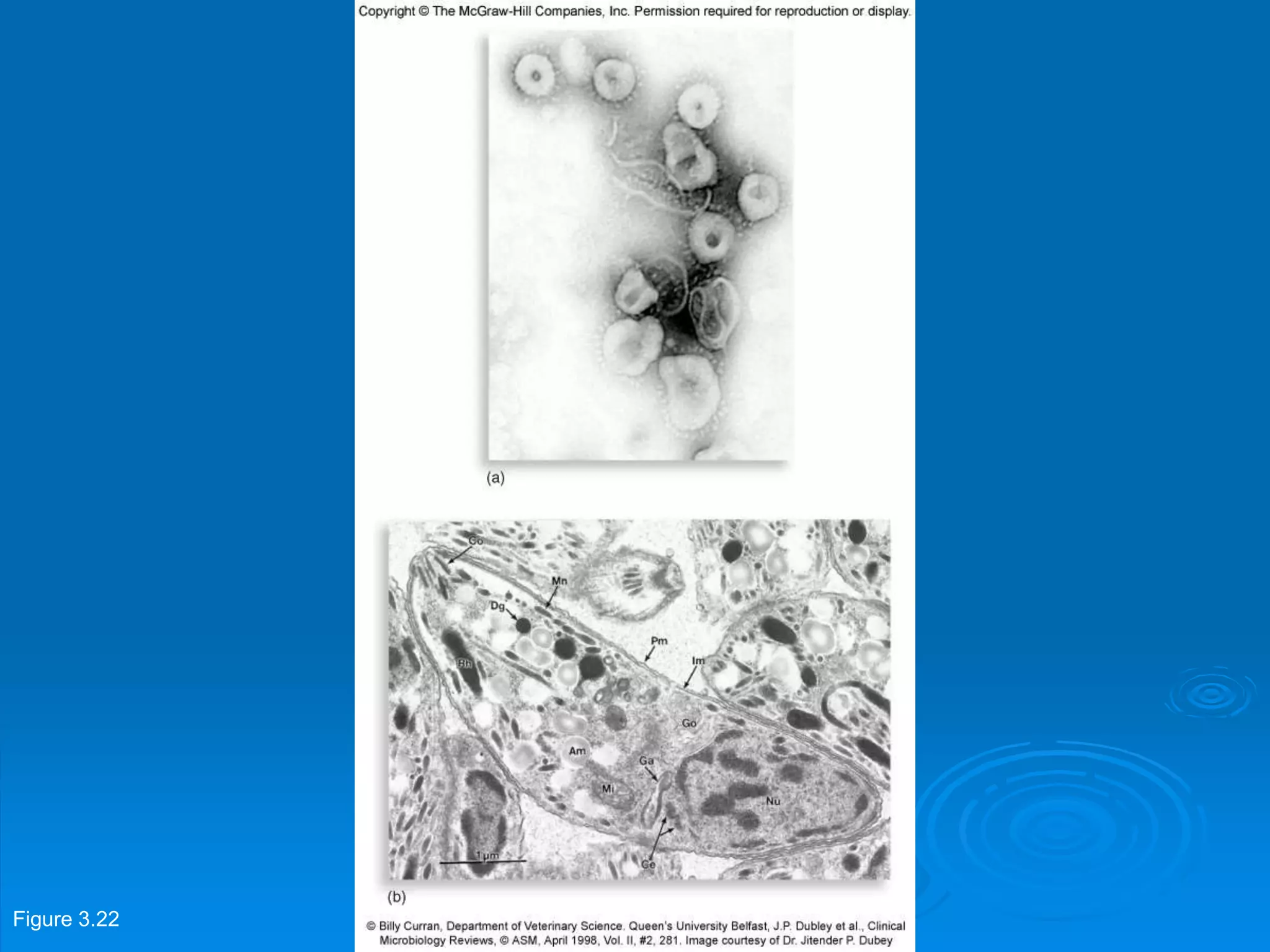 Figure 3.22
 