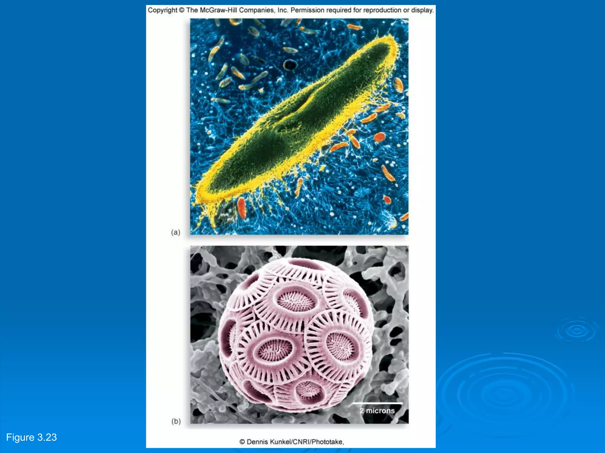 Figure 3.23
 
