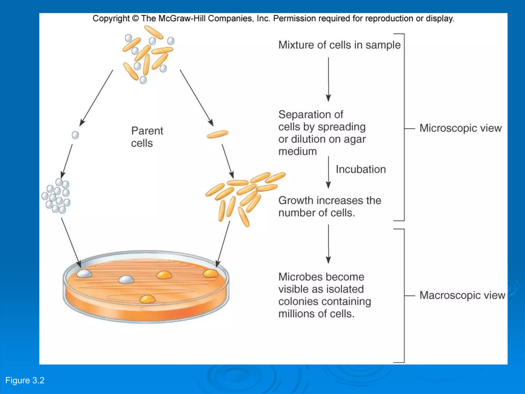 Figure 3.2
 