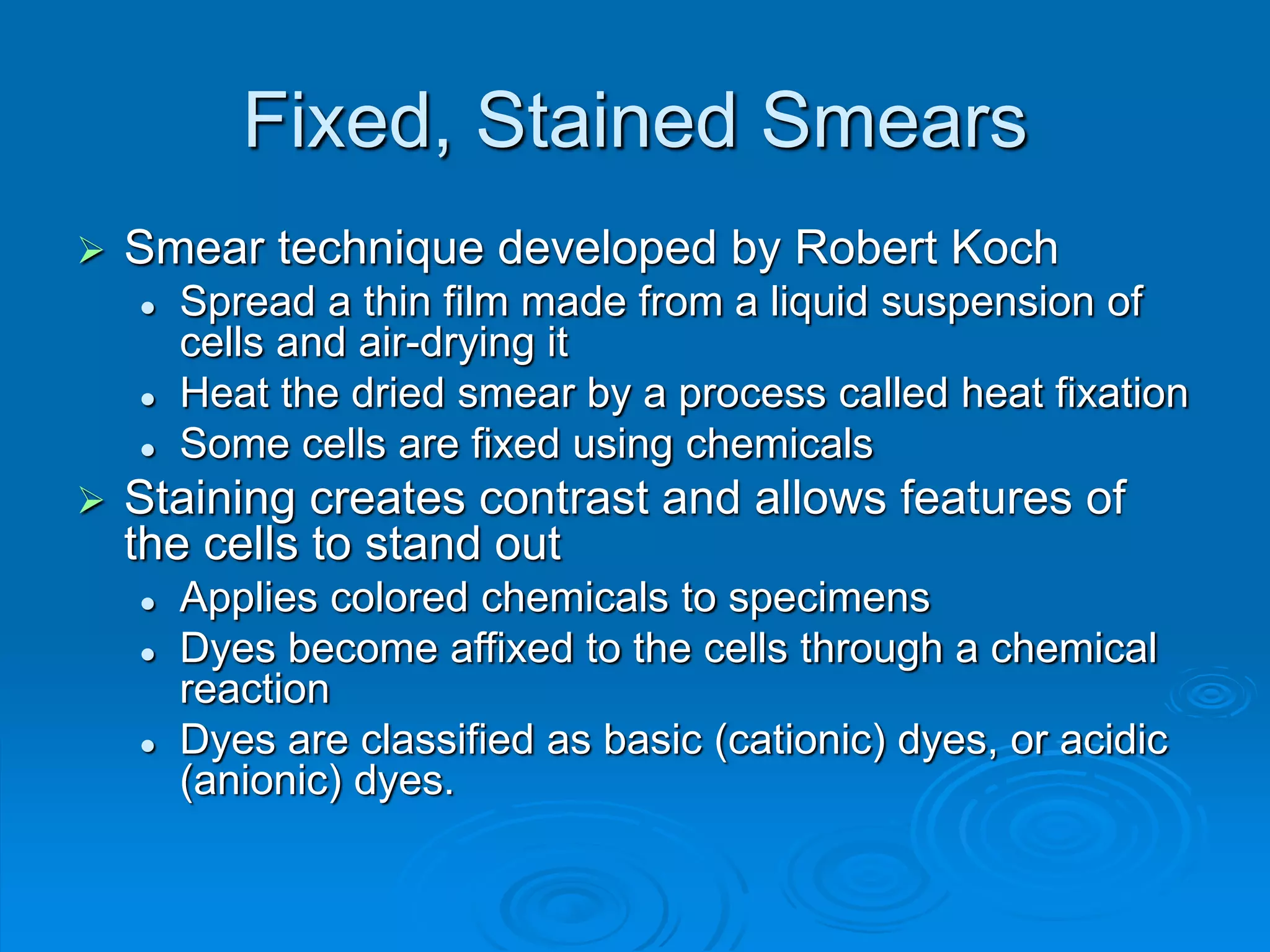 Fixed, Stained Smears
 Smear technique developed by Robert Koch
 Spread a thin film made from a liquid suspension of
cells and air-drying it
 Heat the dried smear by a process called heat fixation
 Some cells are fixed using chemicals
 Staining creates contrast and allows features of
the cells to stand out
 Applies colored chemicals to specimens
 Dyes become affixed to the cells through a chemical
reaction
 Dyes are classified as basic (cationic) dyes, or acidic
(anionic) dyes.
 