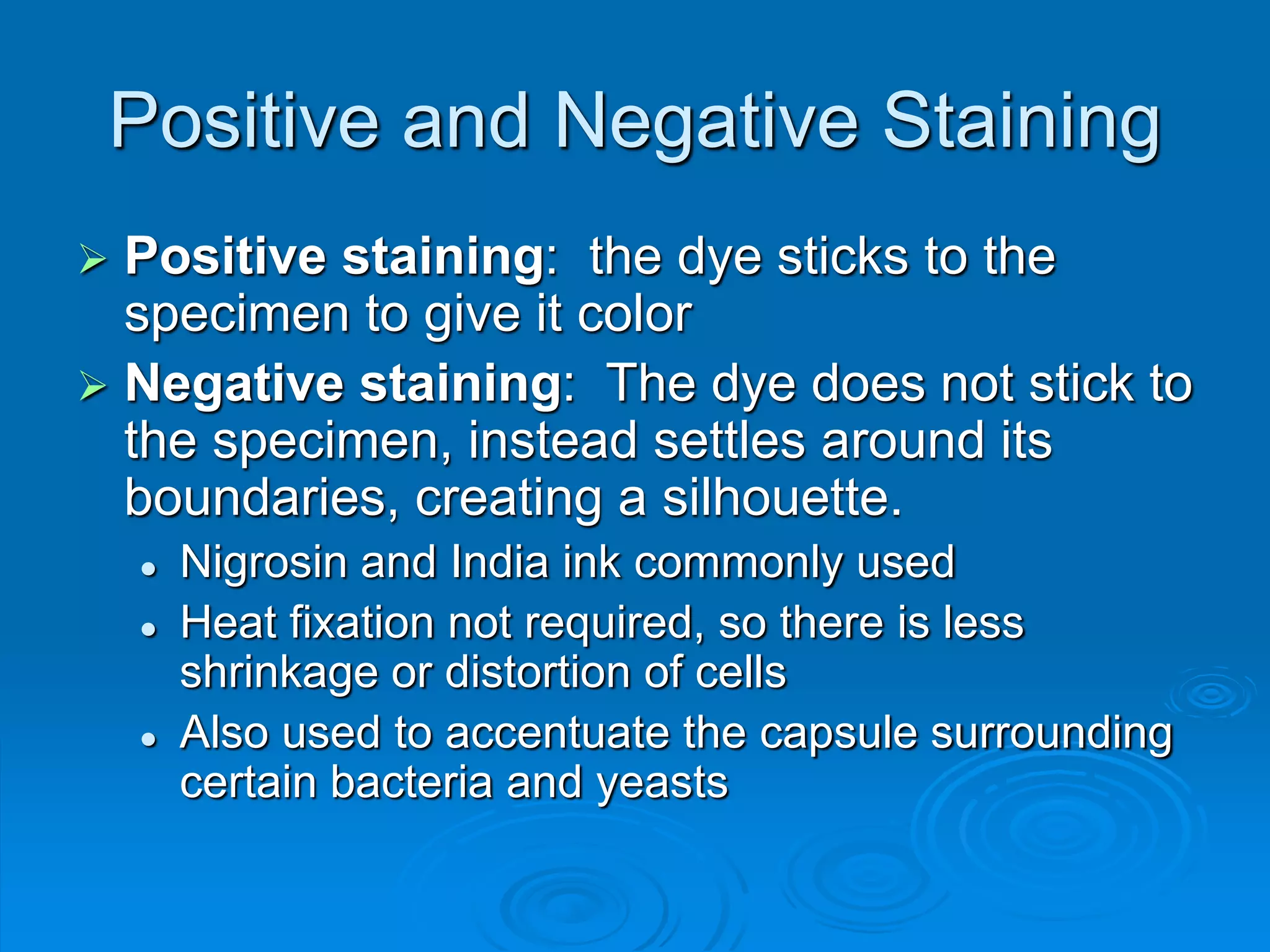 Positive and Negative Staining
 Positive staining: the dye sticks to the
specimen to give it color
 Negative staining: The dye does not stick to
the specimen, instead settles around its
boundaries, creating a silhouette.
 Nigrosin and India ink commonly used
 Heat fixation not required, so there is less
shrinkage or distortion of cells
 Also used to accentuate the capsule surrounding
certain bacteria and yeasts
 