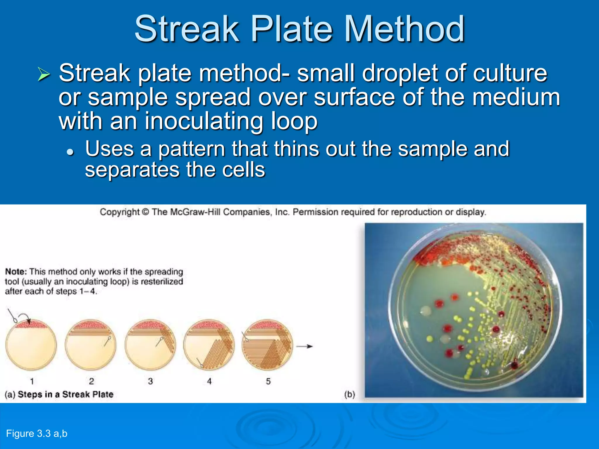 Streak Plate Method
 Streak plate method- small droplet of culture
or sample spread over surface of the medium
with an inoculating loop
 Uses a pattern that thins out the sample and
separates the cells
Figure 3.3 a,b
 