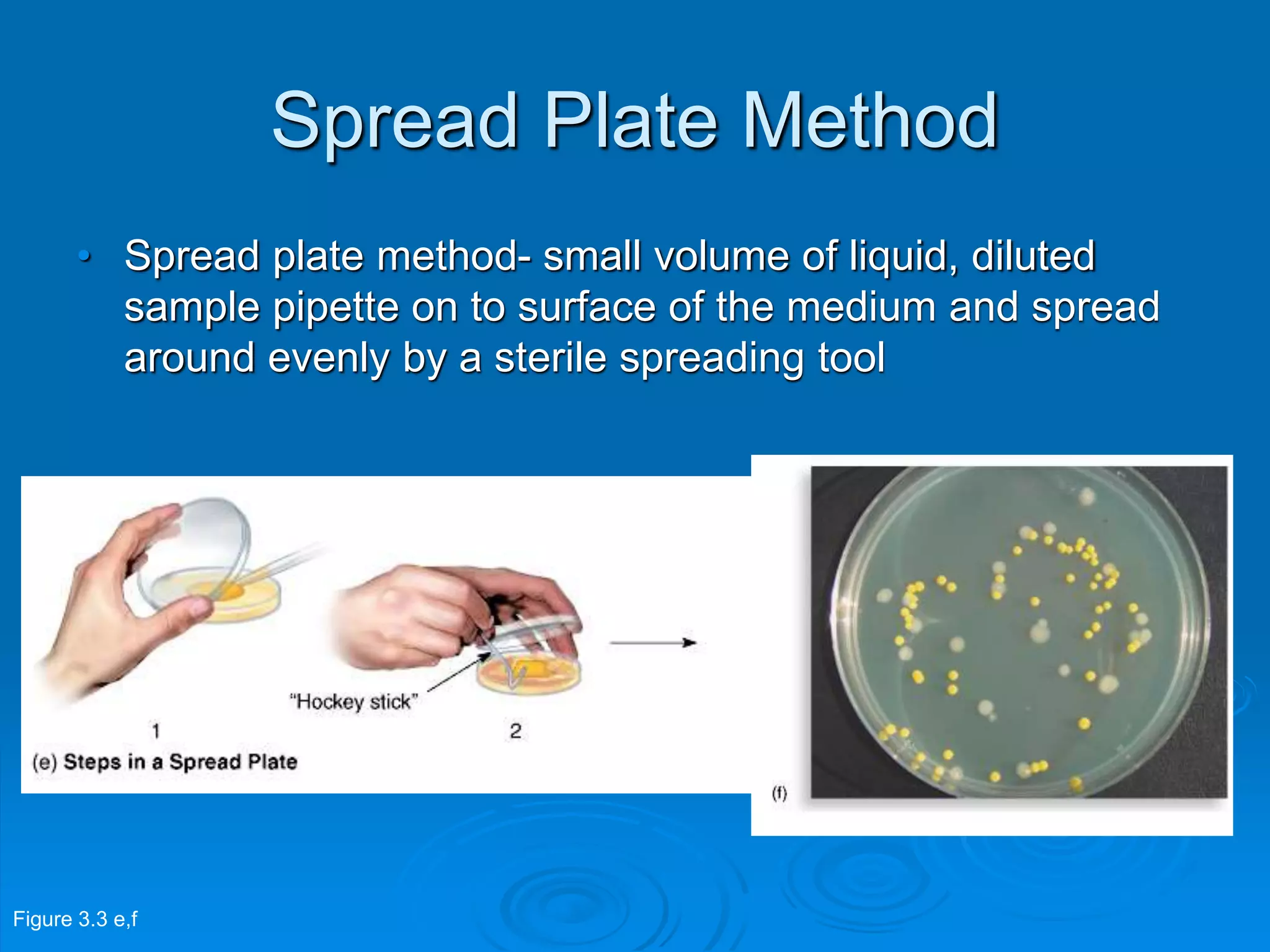 Spread Plate Method
• Spread plate method- small volume of liquid, diluted
sample pipette on to surface of the medium and spread
around evenly by a sterile spreading tool
Figure 3.3 e,f
 