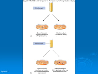 Figure 3.7
 