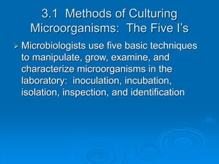 3.1 Methods of Culturing
Microorganisms: The Five I’s
 Microbiologists use five basic techniques
to manipulate, grow, examine, and
characterize microorganisms in the
laboratory: inoculation, incubation,
isolation, inspection, and identification
 