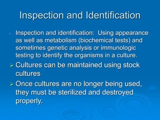 Inspection and Identification
• Inspection and identification: Using appearance
as well as metabolism (biochemical tests) and
sometimes genetic analysis or immunologic
testing to identify the organisms in a culture.
 Cultures can be maintained using stock
cultures
 Once cultures are no longer being used,
they must be sterilized and destroyed
properly.
 