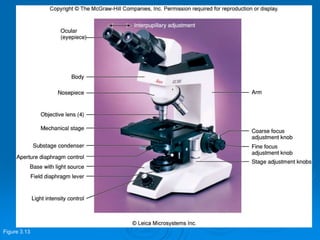 Figure 3.13
 