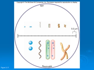 Figure 3.17
 