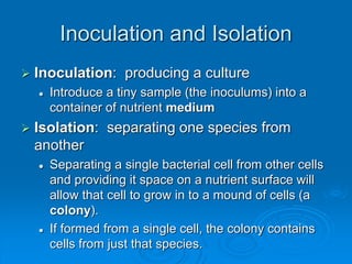 Inoculation and Isolation
 Inoculation: producing a culture
 Introduce a tiny sample (the inoculums) into a
container of nutrient medium
 Isolation: separating one species from
another
 Separating a single bacterial cell from other cells
and providing it space on a nutrient surface will
allow that cell to grow in to a mound of cells (a
colony).
 If formed from a single cell, the colony contains
cells from just that species.
 