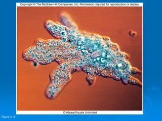 Figure 3.19
 